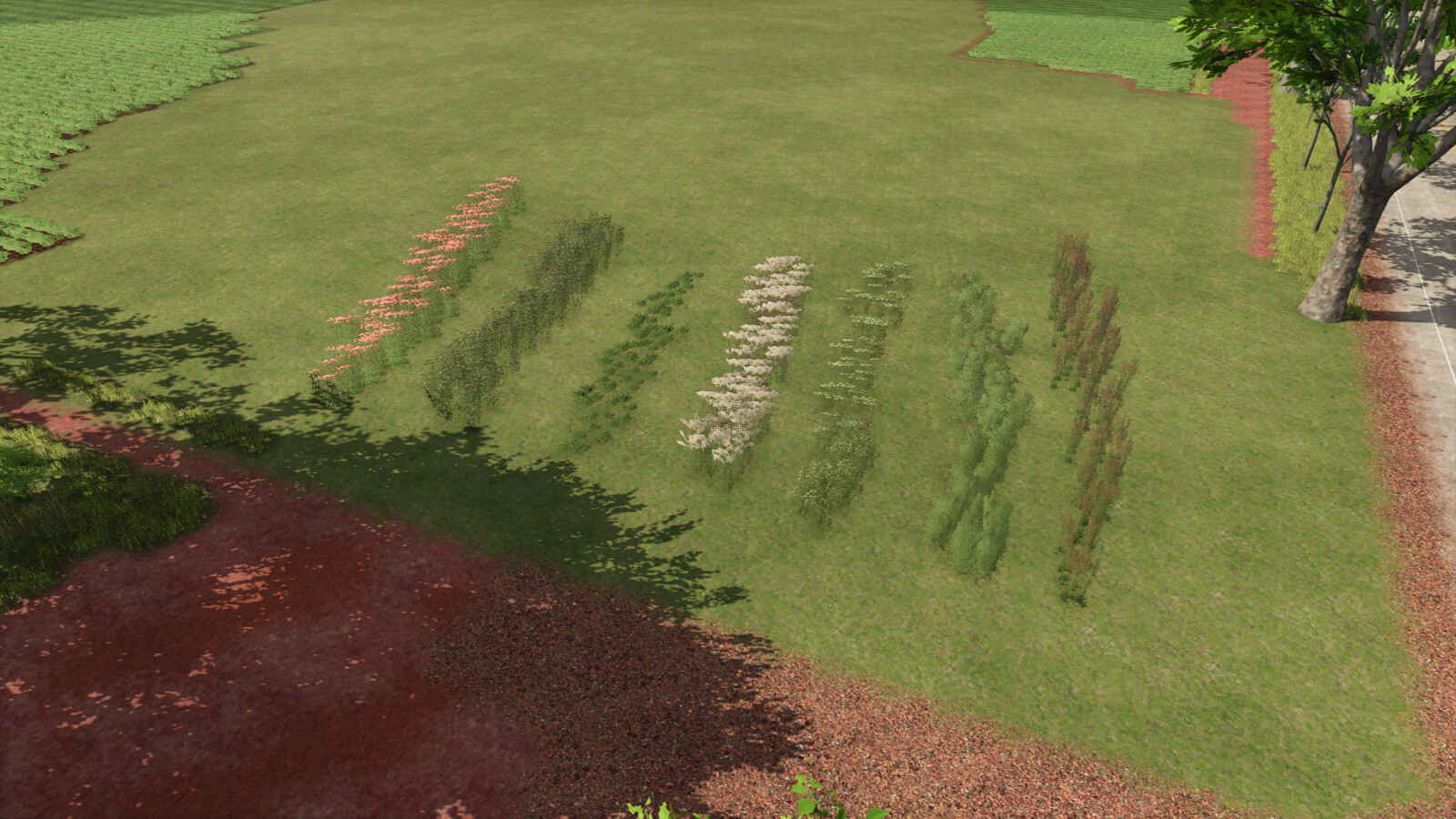 Pacote de decoração de plantas 3